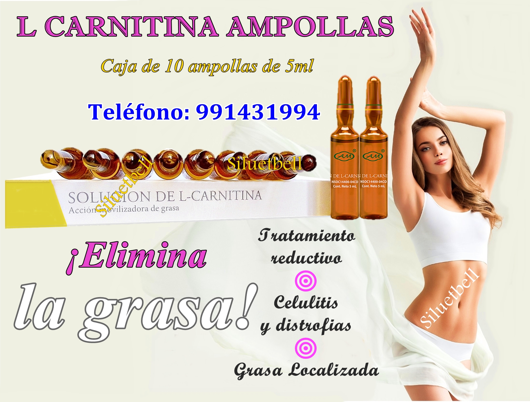 L CARNITINA AMPOLLAS ARMESSO 